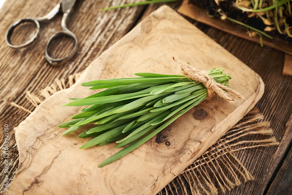 Fresh young green barley grass blades on a wooden cutting board