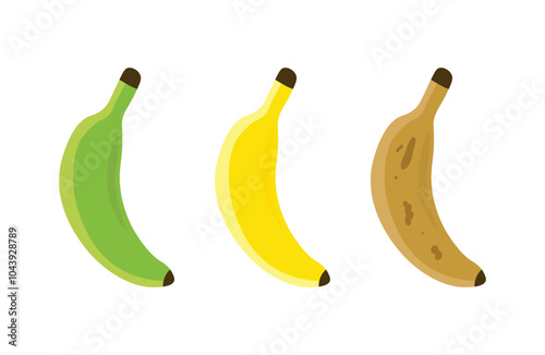 Illustration of three bananas different stages of ripeness green, yellow, and brown.