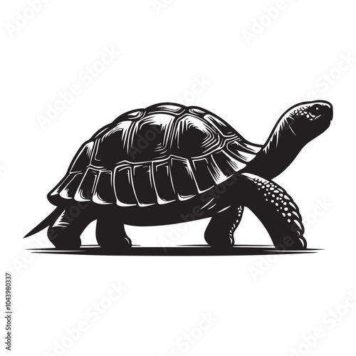Tortoise  silhouette  vector black color white background 