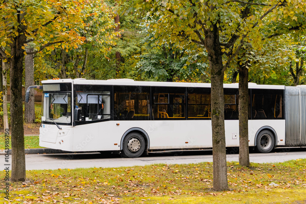 Obraz premium Modern white bus driving on road in autumn park