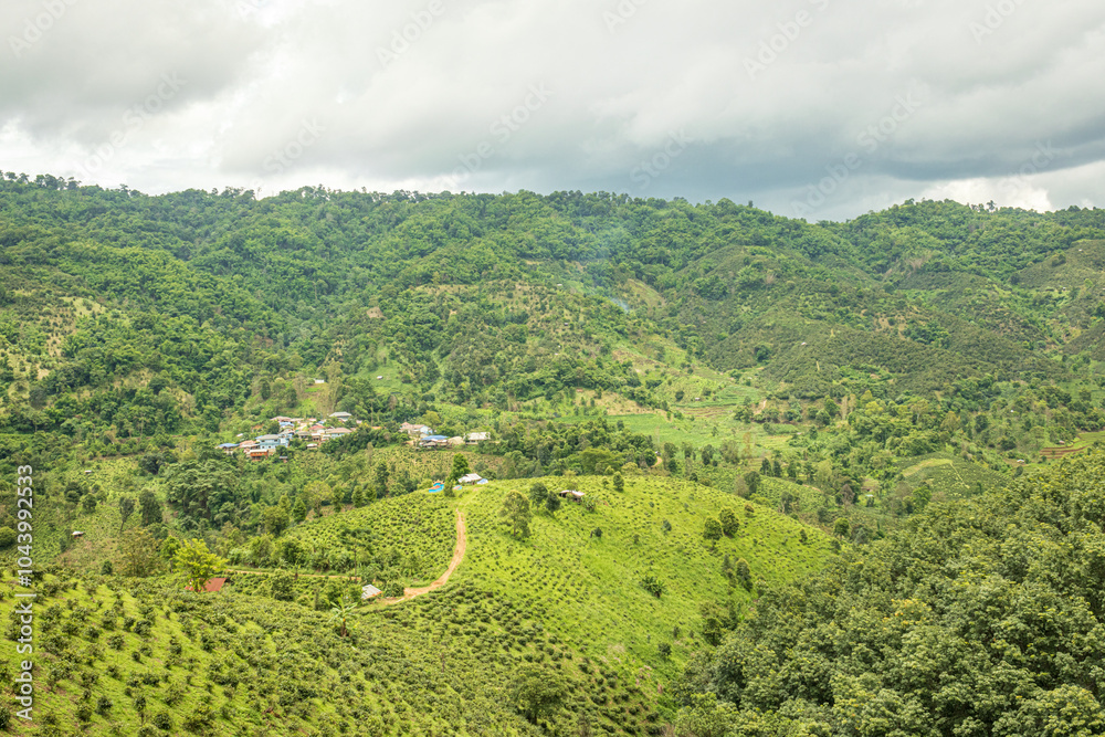 Hillside farms and buildings, Northern Thailand Hillside farms and buildings, Northern Thailand