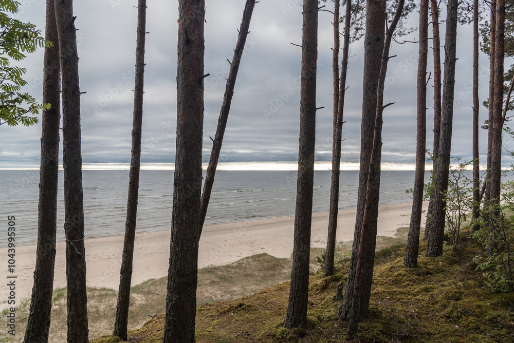 Baltic sea( Gulf of Riga) beach in Klapkalnciems, Latvia on overcast spring day Baltic sea( Gulf of Riga) beach in Klapkalnciems, Latvia on overcast spring day