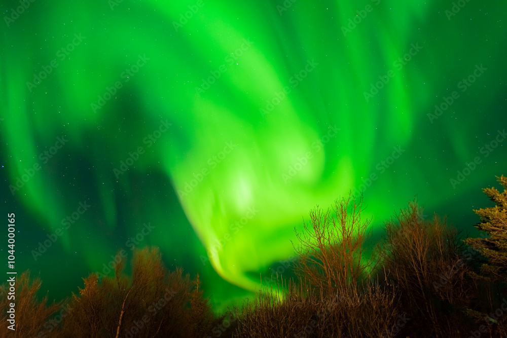 Stunning green aurora borealis with red nuances in the starry sky, northern lights in Iceland