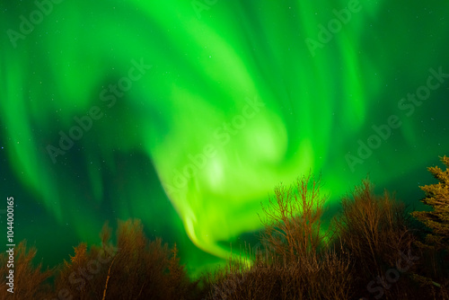 Obraz na płótnie Stunning green aurora borealis with red nuances in the starry sky, northern lights in Iceland w salonie
