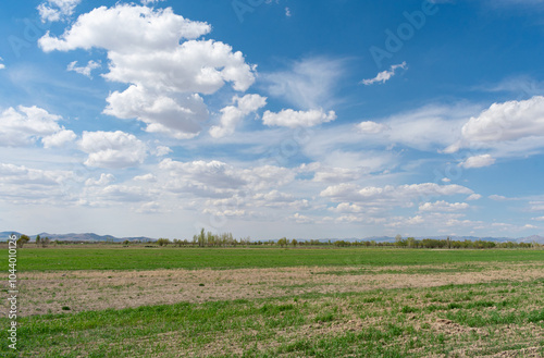 field and sky with clouds and mountain 