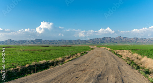 landscape with road in spring and sky