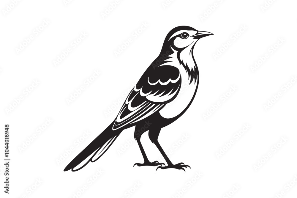 Fototapeta premium Mockingbird silhouette vector illustration, Mockingbird silhouette vector