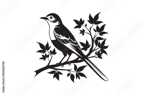 Mockingbird sitting on a tree silhouette vector illustration, Mockingbird silhouette Vector photo