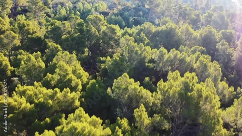 Drone footage moving through mediterranean trees and mountains