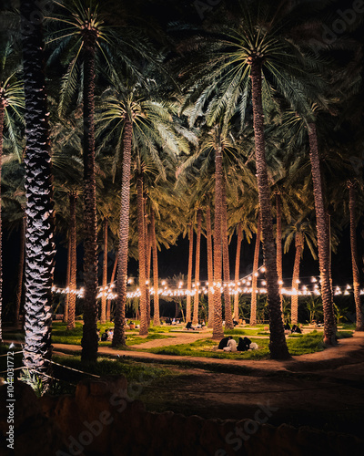 Natural setting between palm trees and under fairy lights at AlUla, Saudi Arabia photo