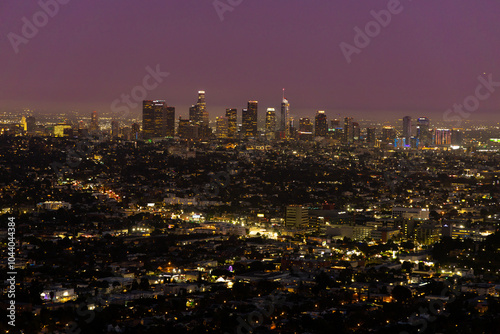 View of downtown Los Angeles at night