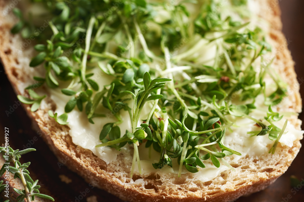 Fresh garden cress sprouts or microgreens on a slice of bread with butter Fresh garden cress sprouts or microgreens on a slice of bread with butter