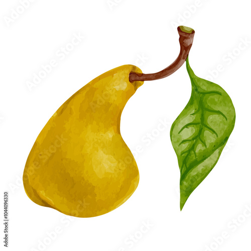 Colorful ripe pear fruits.Vector graphic.