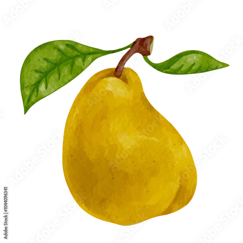 Colorful ripe pear fruits.Vector graphic.