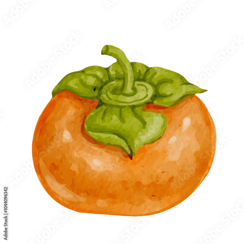 Colorful ripe persimmon fruits.Vector graphic.