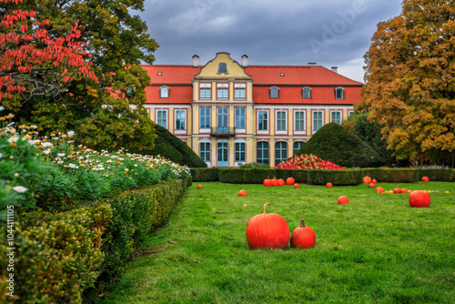 Autumn alley with yellow leaves in the public park in Gdansk Oliwa, Poland