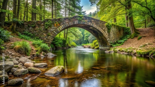 Scenic view of ancient stone bridge over river in forest with shallow depth of field