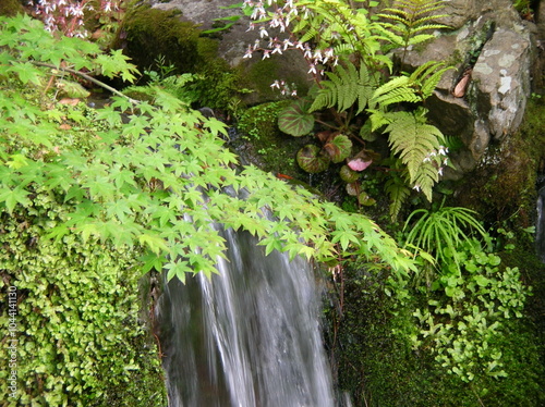 Iconic Japanese Garden Waterfall 1 photo