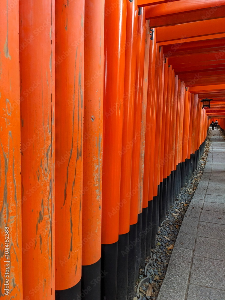 Fushimi, Japan - 2023.12.17: Inside the tunnel of Senbon Torii in Fushimi Inari-taisha, two tourists walking on the footpath at the far end alongside rows of red wooden structures in the morning Fushimi, Japan - 2023.12.17: Inside the tunnel of Senbon Torii in Fushimi Inari-taisha, two tourists walking on the footpath at the far end alongside rows of red wooden structures in the morning