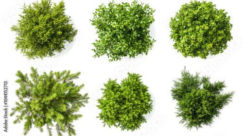 Green Trees and Shrubs Seen From Above on Clear Background Generative AI
