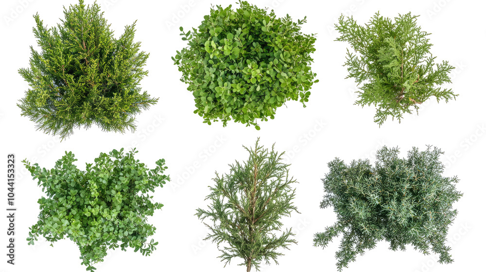 Fototapeta premium Green Trees and Shrubs on Transparent Background Generative AI