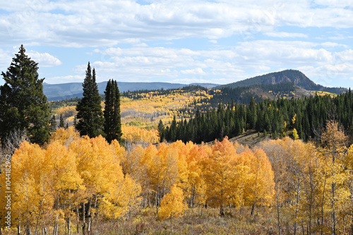 Fall Colors and Mountains