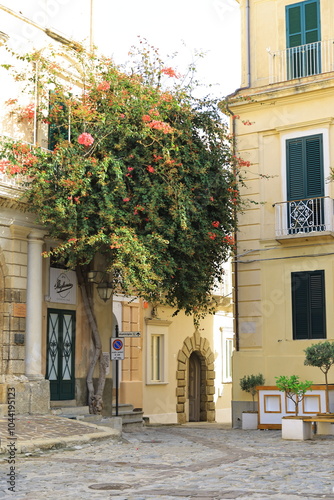 Fototapeta Naklejka Na Ścianę i Meble -  street of tropea, calabria, vibo valentia italy