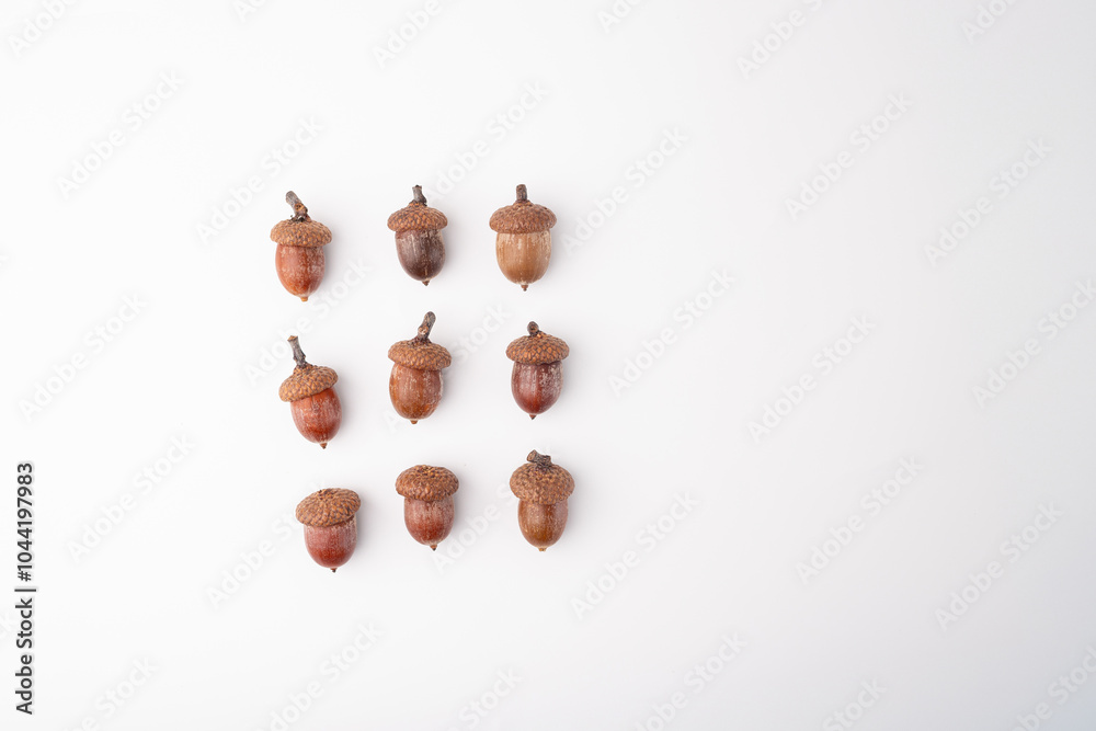 raw acorns, top view, white background, Studio shot for craft projects and autumn decorations. DIY and creativity concept. Design for greeting card, invitation, poster, banner. Flat lay composition, raw acorns, top view, white background, Studio shot for craft projects and autumn decorations. DIY and creativity concept. Design for greeting card, invitation, poster, banner. Flat lay composition,