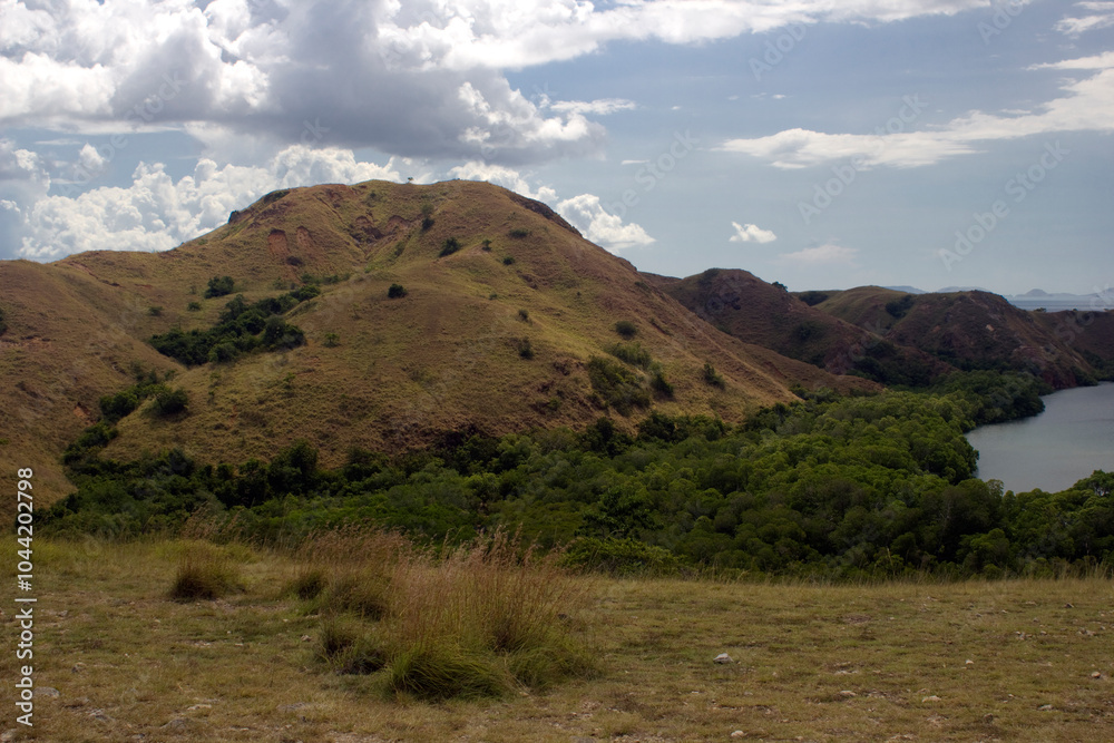 Obraz premium Komodo island landscape