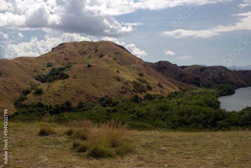 Komodo island landscape