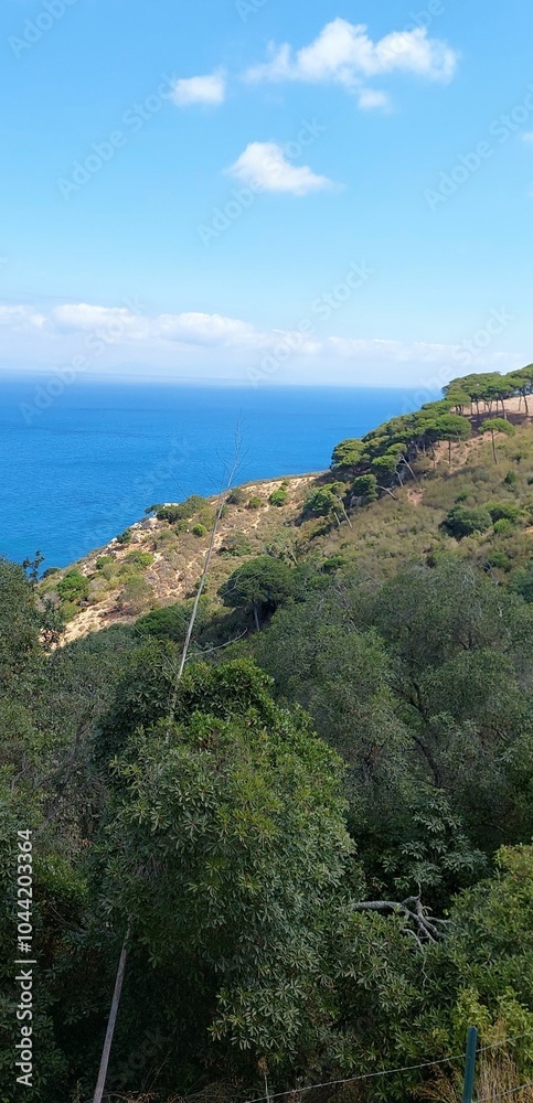 Beautiful and wonderful view of the sea and green nature Beautiful and wonderful view of the sea and green nature