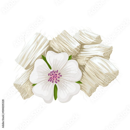 Illustration of Althaea officinalis root, commonly called marshmallow, isolated on white background.