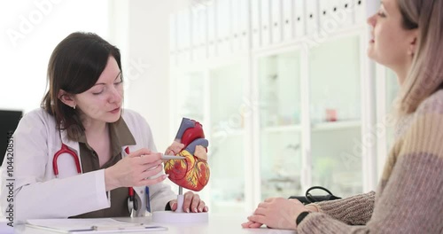 Woman doctor explains heart anatomy to female patient. Brunette cardiologist demonstrates medical concepts to blonde lady at appointment in clinical setting