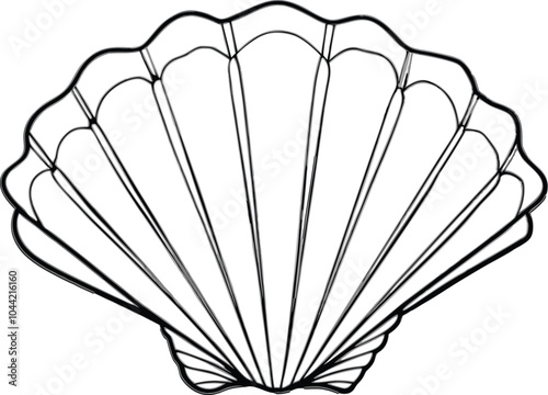 illustration of a seashell 