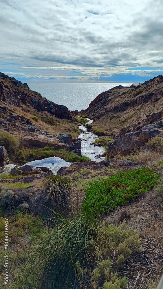 Fototapeta premium landscape with river