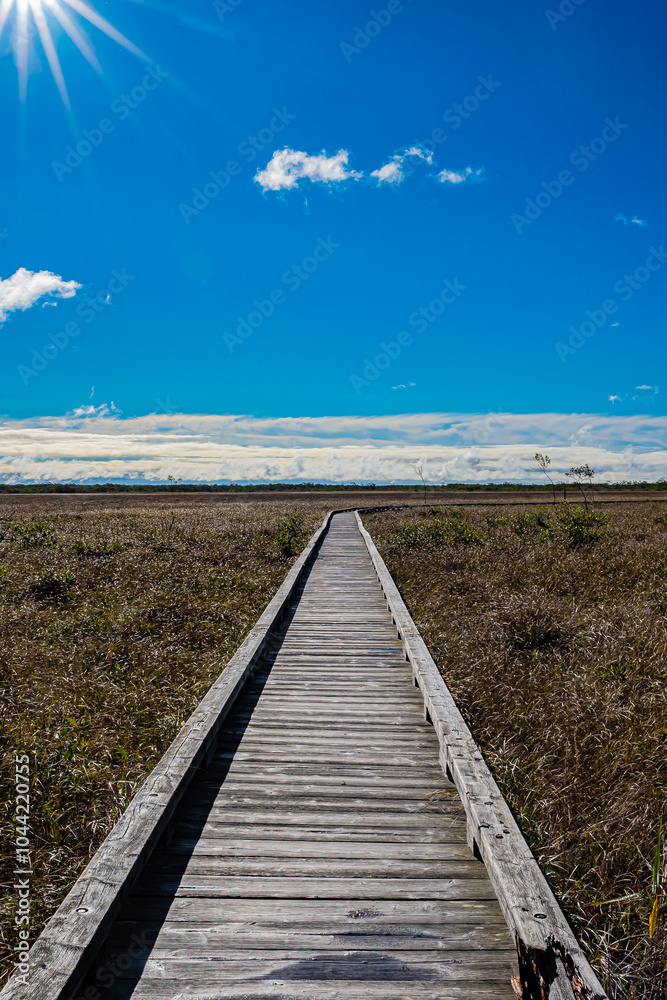 Fototapeta premium 釧路湿原の秋の風景