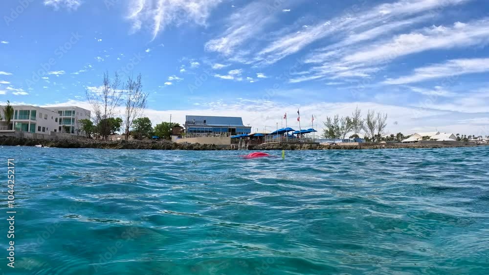 The rock and coral reef with fish swimming around at Turtle reef in the Cayman Islands The rock and coral reef with fish swimming around at Turtle reef in the Cayman Islands