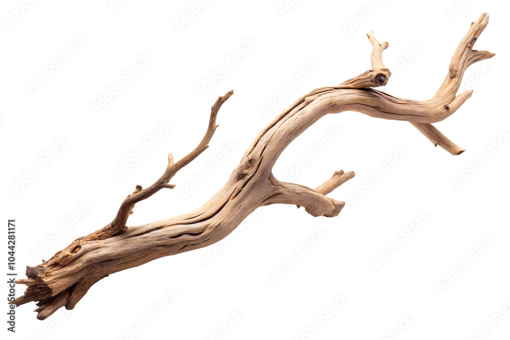 Fototapeta premium Driftwood branch, unique textures, transparent or white isolate background.
