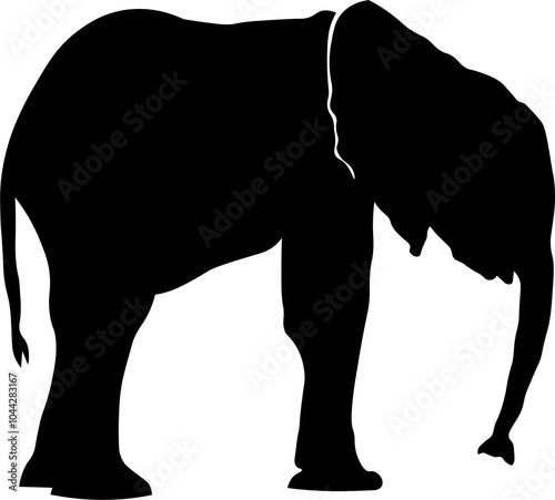 elephant, elephant isolated on white, elephant paint, elephant png, elephant silhouette, elephant isolated on white background