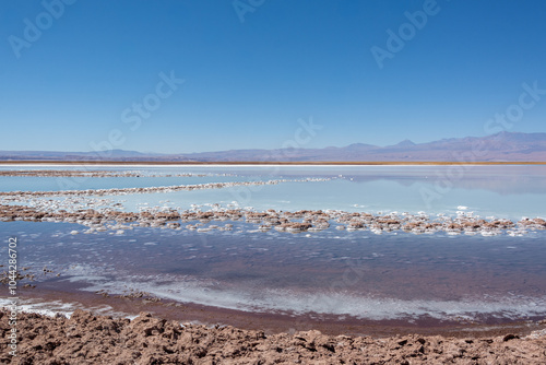 Laguna Cejar, Deserto do Atacama, Chile - Flutuação e Paisagens Deslumbrantes