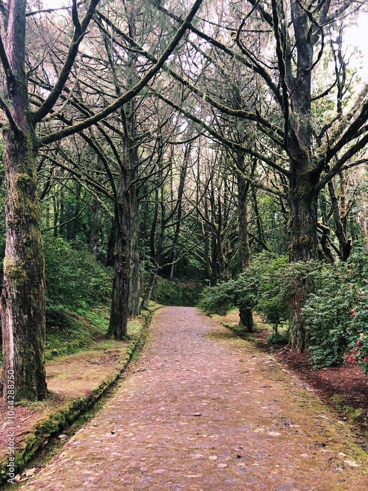 Obraz premium Processed with VSCO with c1 preset