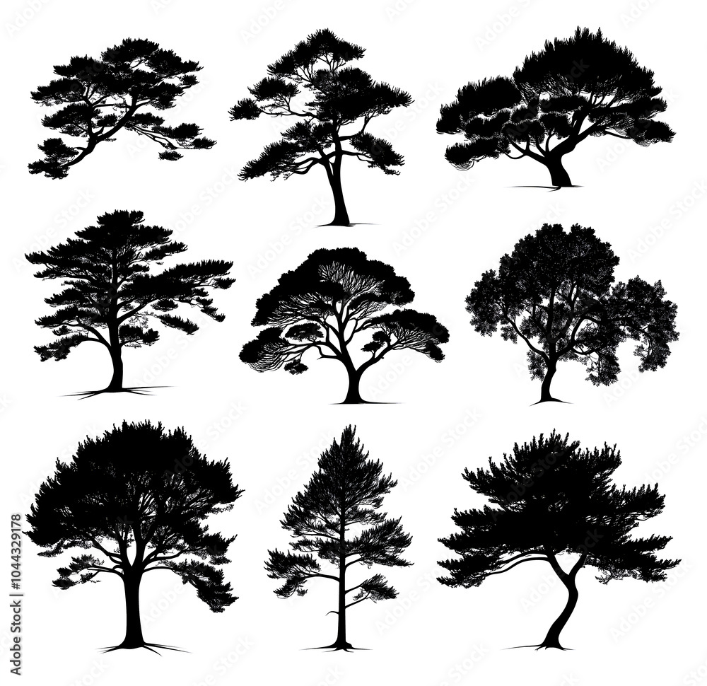 Fototapeta premium Set of black pine tree silhouettes on a white background, in a clip art style