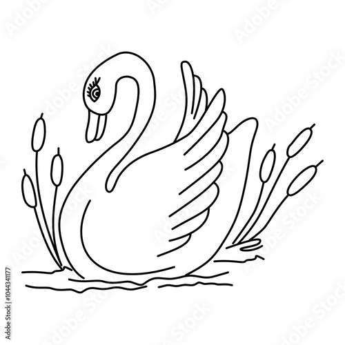 hand drawn sketch of a Swan on water