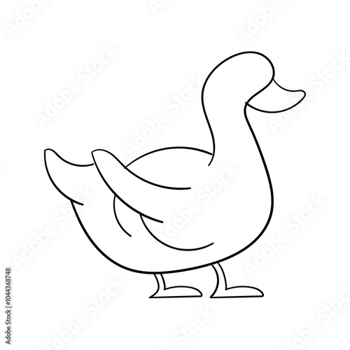duck