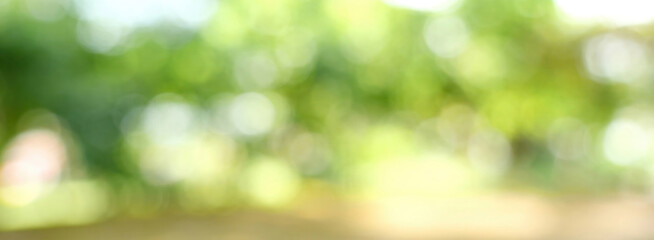 Banner Blur background green park garden nature bright sunny forest. Blurry outdoor park in spring time glowing shinny day template sunlight bokeh. Abstract blurred background banner with copy space