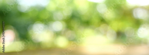 Banner Blur background green park garden nature bright sunny forest. Blurry outdoor park in spring time glowing shinny day template sunlight bokeh. Abstract blurred background banner with copy space