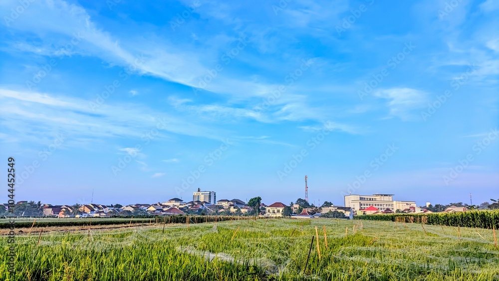 view of building ceilings and rice fields, precisely in Purwokerto, Indonesia
view of building ceilings and rice fields, precisely in Purwokerto, Indonesia