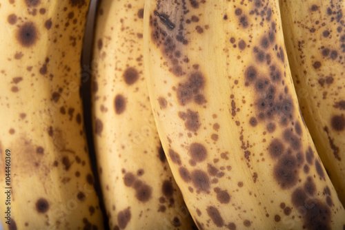 close up of bananas photo