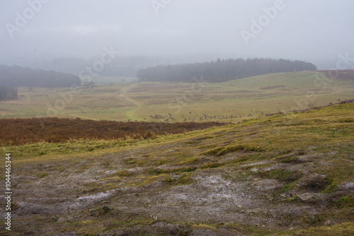 Bradgate Park in the UK. during the winter.