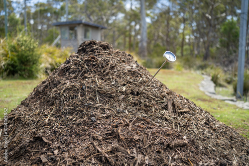 turning a compost pile in a community garden. compost full of microorganisms. sustainable regenerative agriculture with a soil sample. measuring the temperature with a thermometer photo